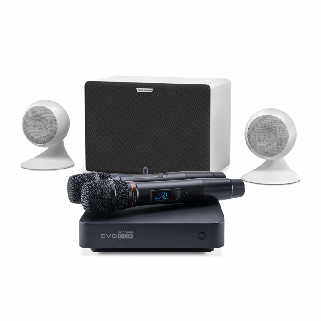 караоке-комплект EVOBOX Classic + EvoSound Sphere 2.1 в Орехово-Зуево