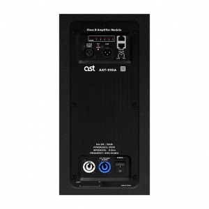 Активная акустическая система AST-310A в Орехово-Зуево