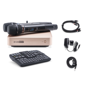 EVOBOX Classic караоке-система для дома в Орехово-Зуево